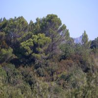 Photo de france - La randonnée de l'ancien refuge sur la colline